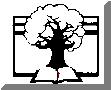 oak tree graphic